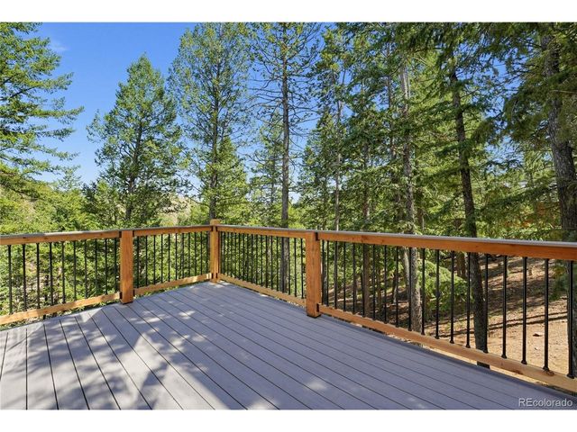100 Elk Valley Way, Evergreen, CO 80439