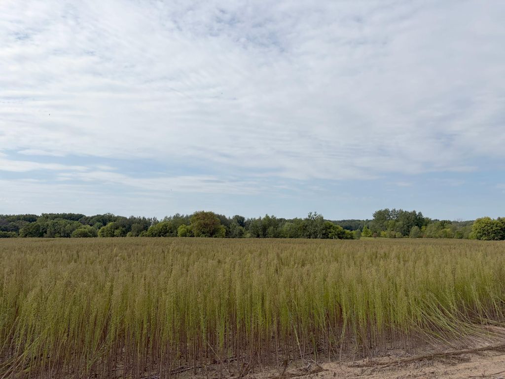TBD (L5-SM East) Yellowpine Court NW, Isanti, MN 55040 — exterior