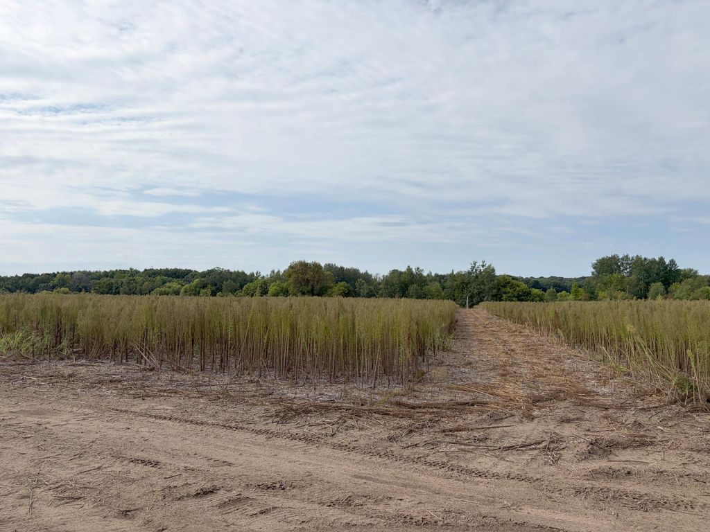 TBD (L5-SM East) Yellowpine Court NW, Isanti, MN 55040 — photo 2