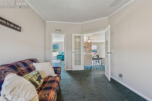 966 County Road 411, Florissant, CO 80816