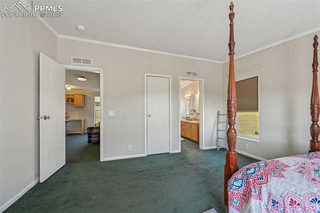 966 County Road 411, Florissant, CO 80816