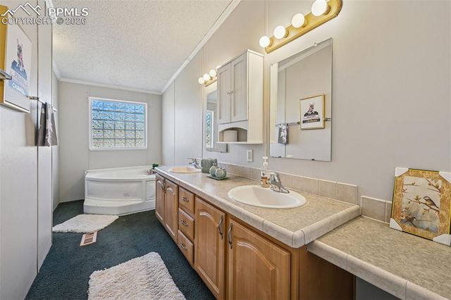 966 County Road 411, Florissant, CO 80816