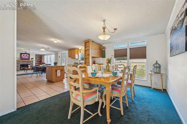 966 County Road 411, Florissant, CO 80816