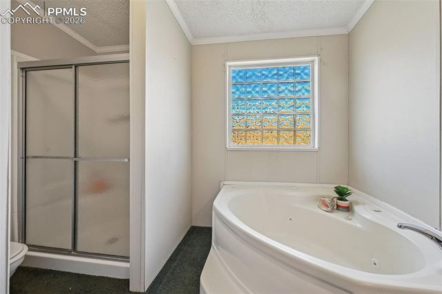 966 County Road 411, Florissant, CO 80816