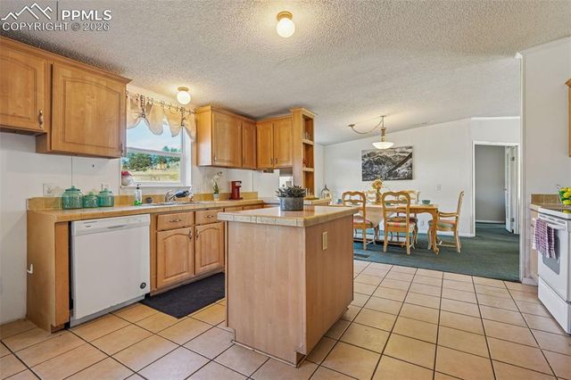 966 County Road 411, Florissant, CO 80816