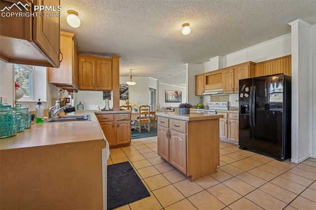 966 County Road 411, Florissant, CO 80816