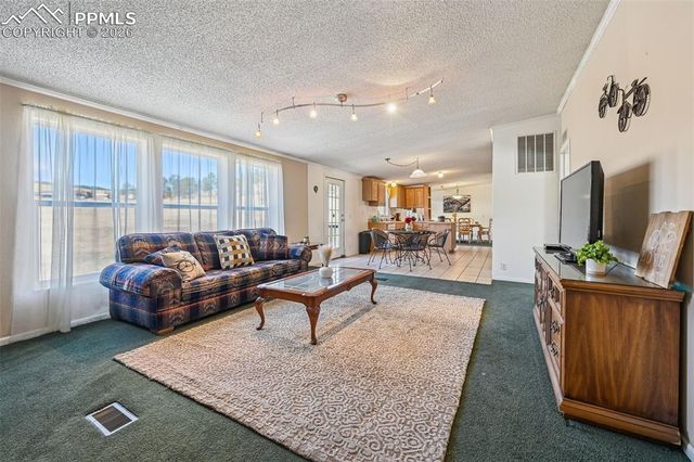 966 County Road 411, Florissant, CO 80816