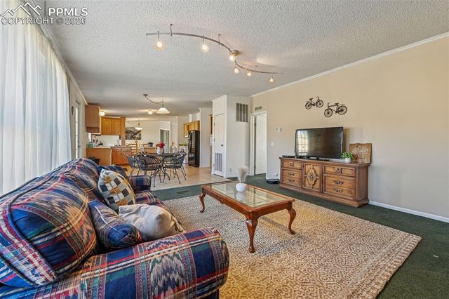 966 County Road 411, Florissant, CO 80816