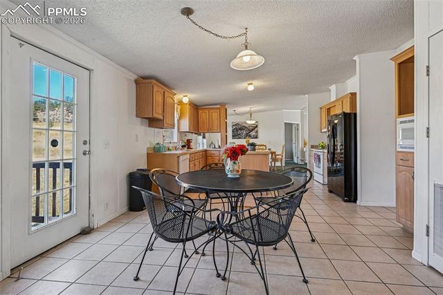 966 County Road 411, Florissant, CO 80816