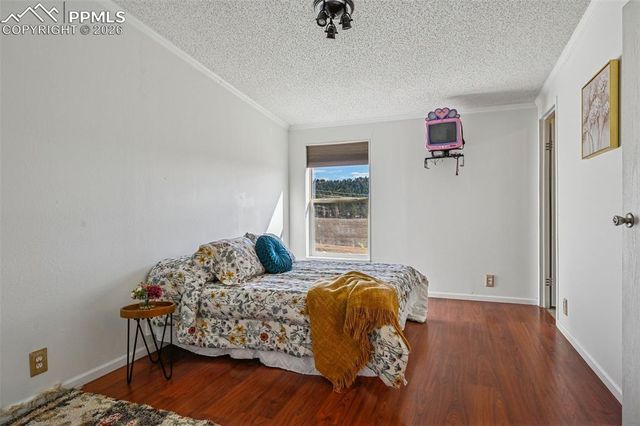 966 County Road 411, Florissant, CO 80816