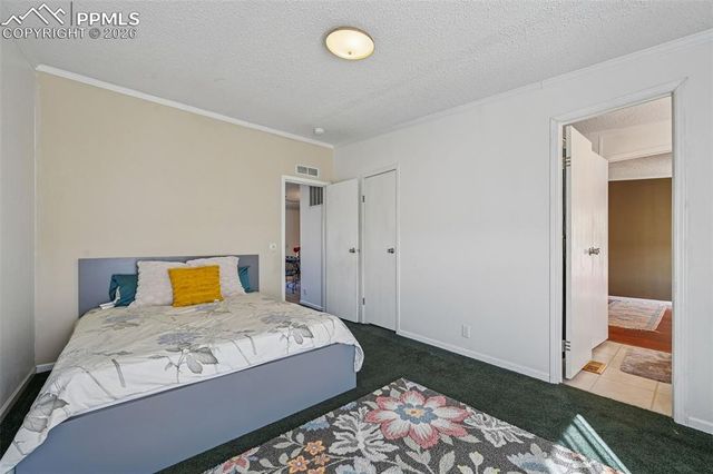 966 County Road 411, Florissant, CO 80816