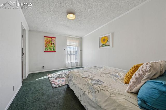 966 County Road 411, Florissant, CO 80816