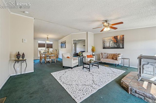 966 County Road 411, Florissant, CO 80816