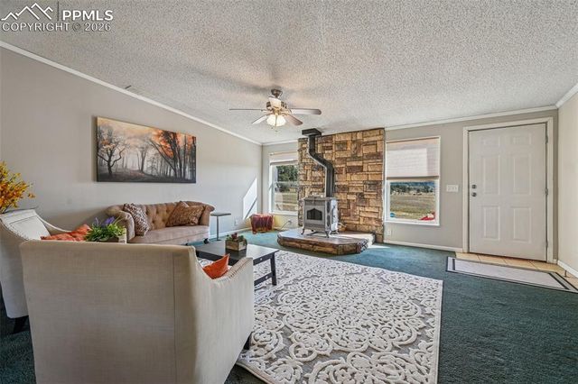 966 County Road 411, Florissant, CO 80816