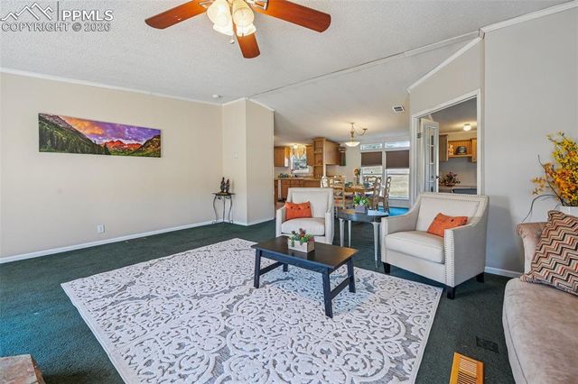 966 County Road 411, Florissant, CO 80816