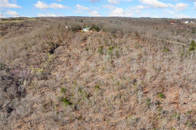 10974 Ricks Drive, Harrison, AR 72601