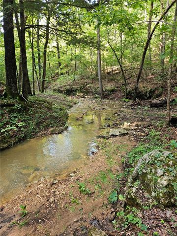 10974 Ricks Drive, Harrison, AR 72601