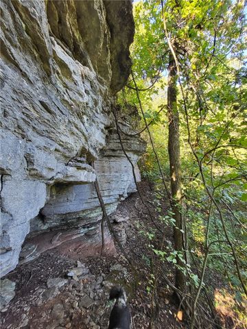 10974 Ricks Drive, Harrison, AR 72601