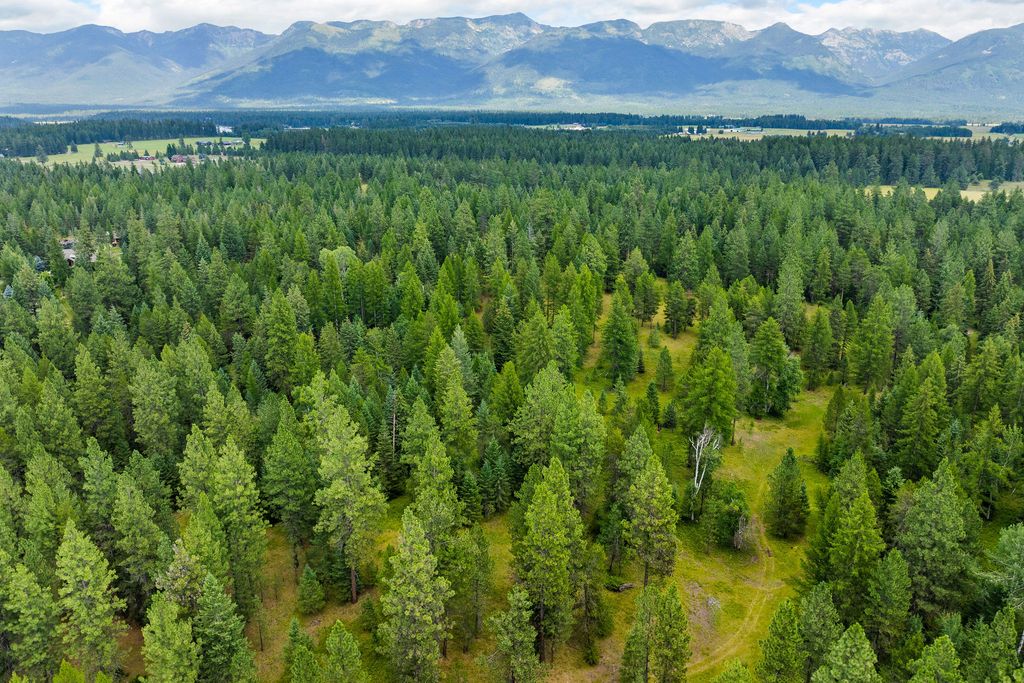 350 and 270 Old Paint Trail, Bigfork, MT 59911 photo 103