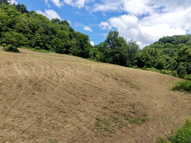 490 Ford Hollow Rd, Hartsville, TN 37074