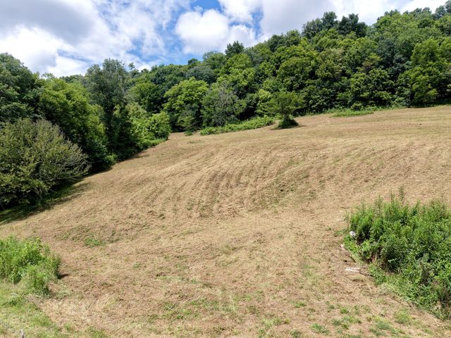 490 Ford Hollow Rd, Hartsville, TN 37074