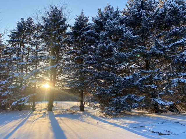 134 Doster Road, Gun Plain Twp, MI 49080