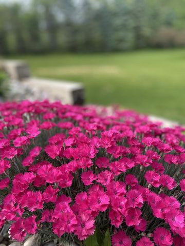 134 Doster Road, Gun Plain Twp, MI 49080