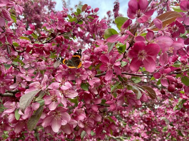 134 Doster Road, Gun Plain Twp, MI 49080