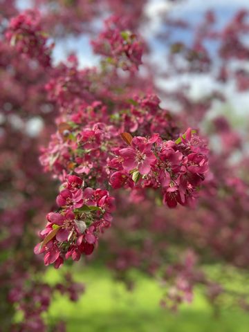 134 Doster Road, Gun Plain Twp, MI 49080