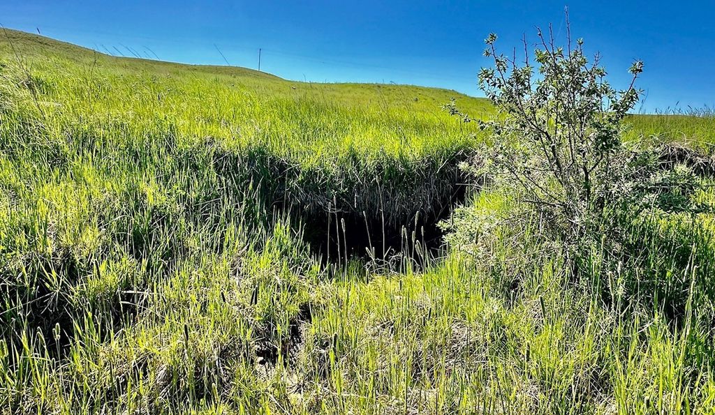 661 Dovetail Valentine Road, Winnett, MT 59087 photo 156