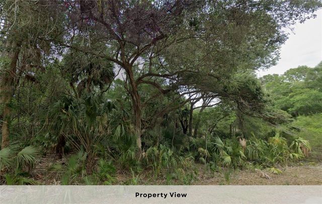 12045 W BELVEDERE STREET, Crystal River, FL 34428