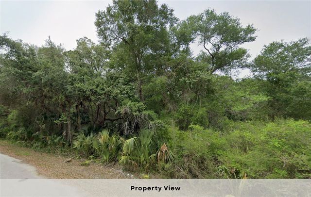 12045 W BELVEDERE STREET, Crystal River, FL 34428