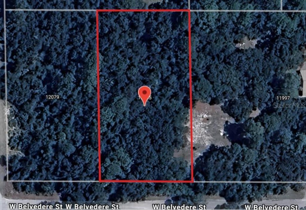 12045 W BELVEDERE STREET, Crystal River, FL 34428