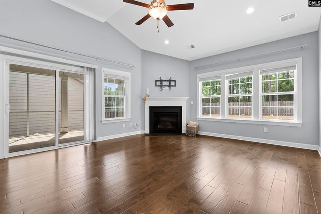 432 Sapphire Lane, Chapin, SC 29036