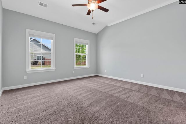 432 Sapphire Lane, Chapin, SC 29036