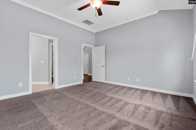 432 Sapphire Lane, Chapin, SC 29036