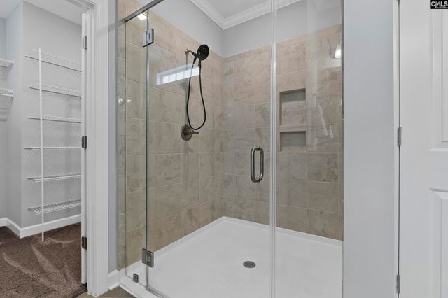 432 Sapphire Lane, Chapin, SC 29036