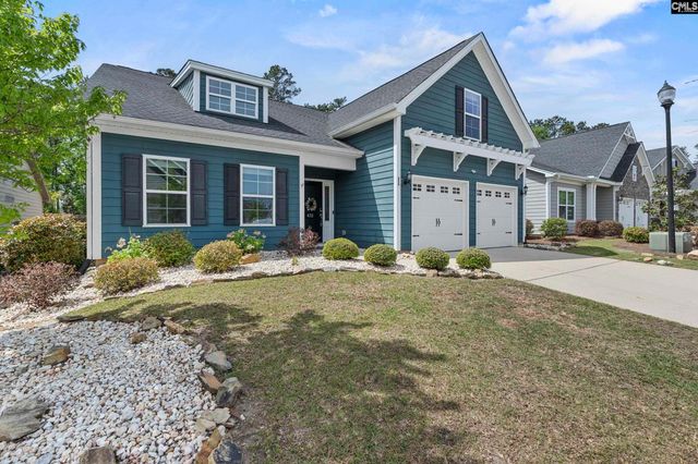 432 Sapphire Lane, Chapin, SC 29036
