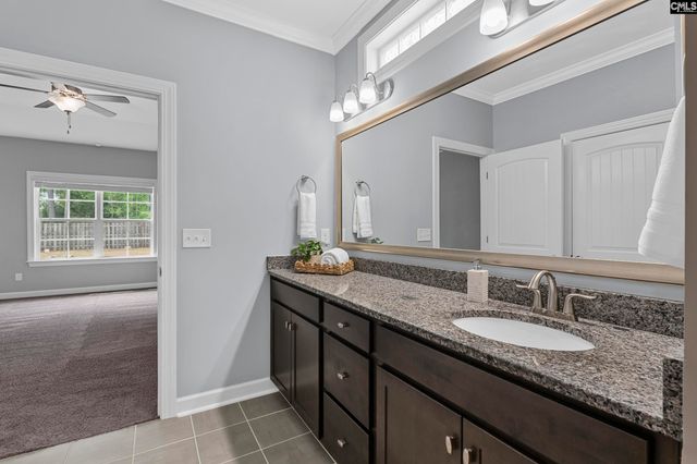 432 Sapphire Lane, Chapin, SC 29036