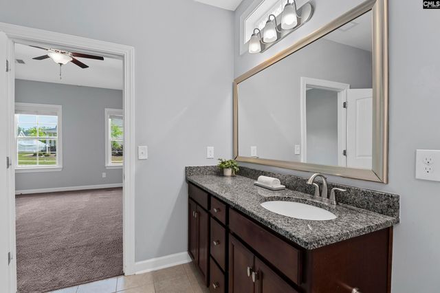 432 Sapphire Lane, Chapin, SC 29036