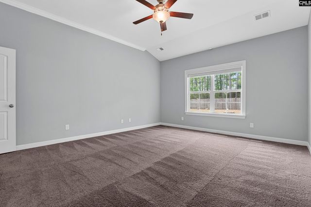 432 Sapphire Lane, Chapin, SC 29036