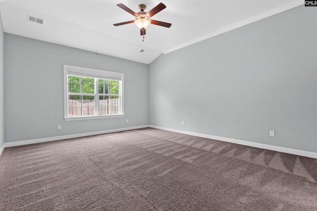 432 Sapphire Lane, Chapin, SC 29036