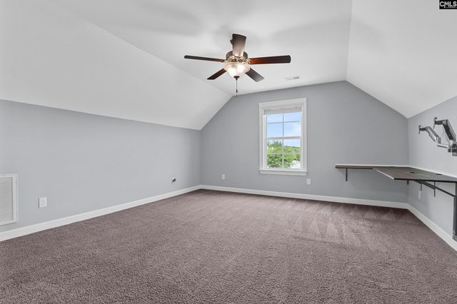 432 Sapphire Lane, Chapin, SC 29036