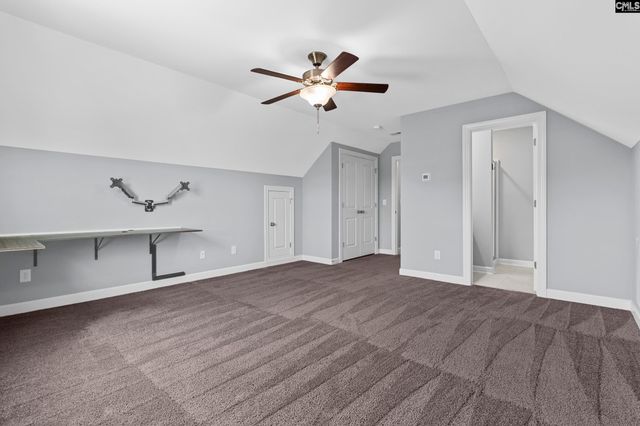 432 Sapphire Lane, Chapin, SC 29036