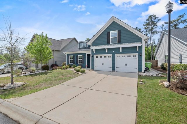 432 Sapphire Lane, Chapin, SC 29036