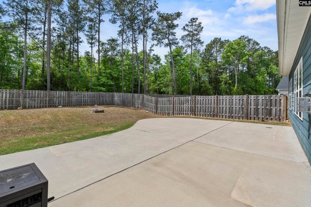 432 Sapphire Lane, Chapin, SC 29036