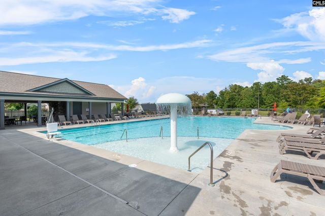 432 Sapphire Lane, Chapin, SC 29036