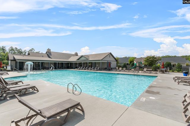 432 Sapphire Lane, Chapin, SC 29036