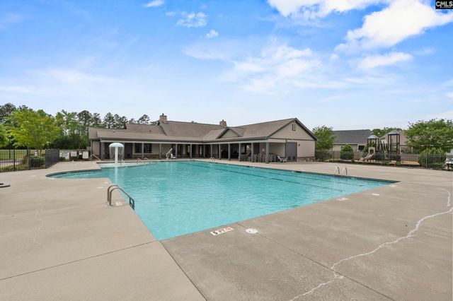 432 Sapphire Lane, Chapin, SC 29036