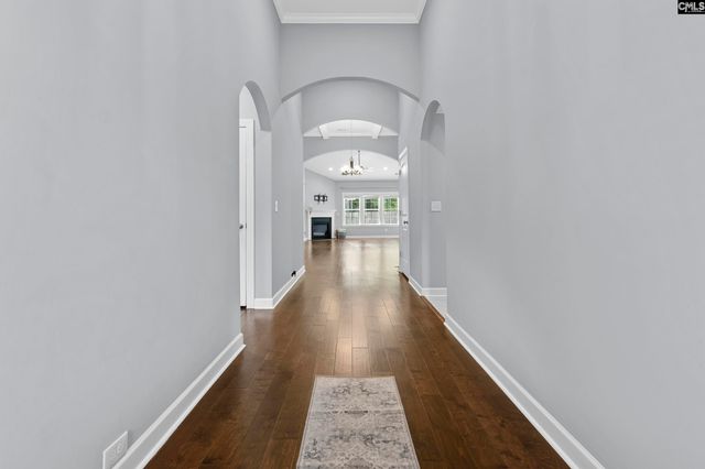 432 Sapphire Lane, Chapin, SC 29036